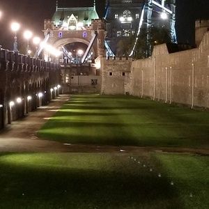 Meet your Posher, Shelly